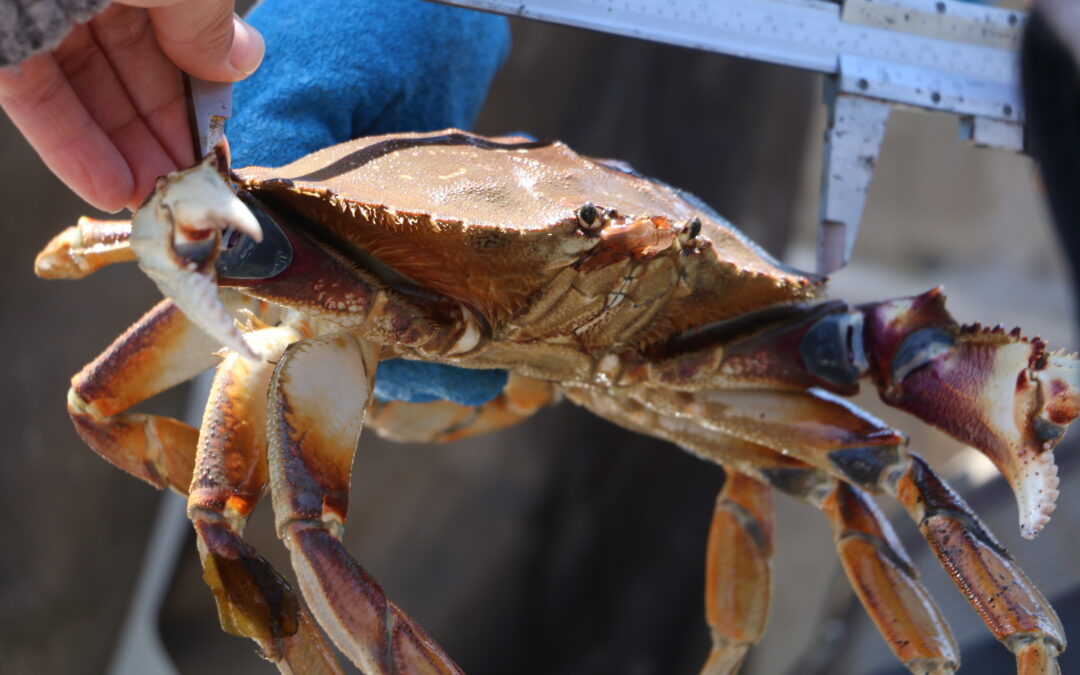 Five Nations Crab Fishery Meetings